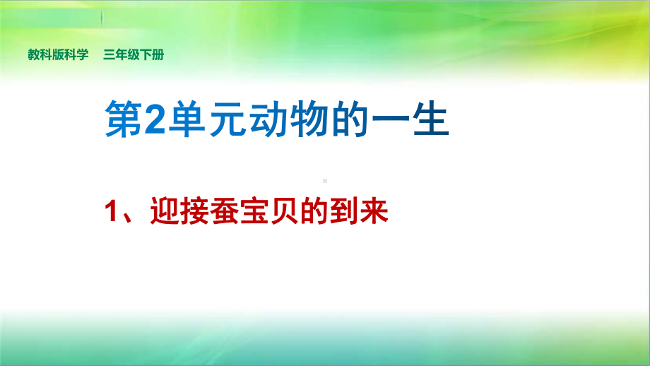 三年级下 1、《迎接蚕宝贝的到来》课件.pptx_第2页