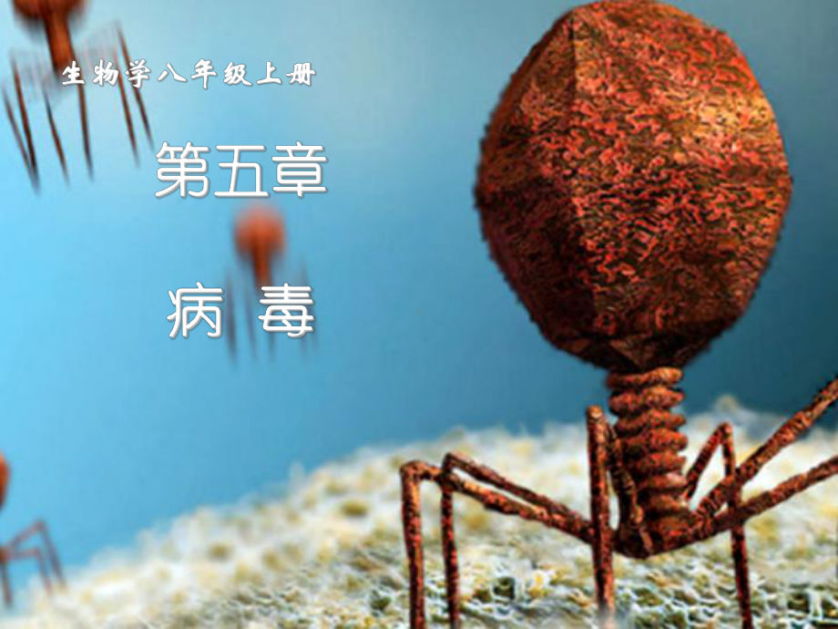 （人教版）初中生物八年级上第五章病毒41实用课件.ppt_第2页