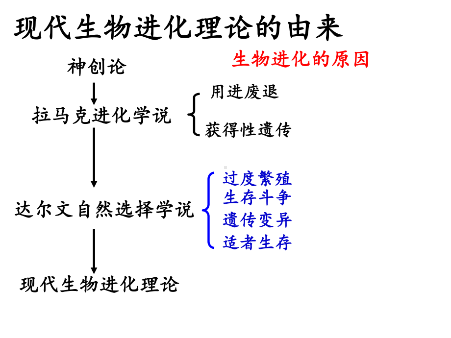 人教版高中生物高三复习课：现代生物进化理论课件.ppt_第2页