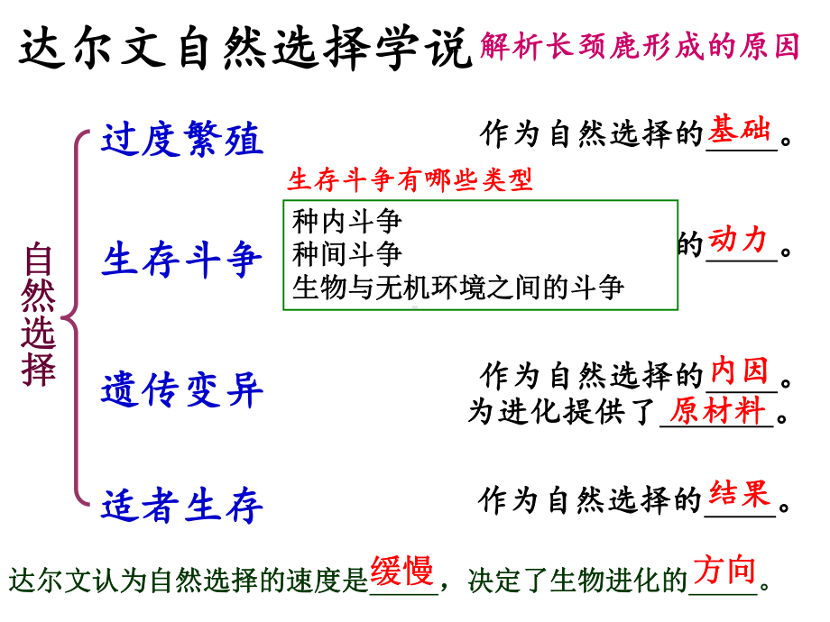 人教版高中生物高三复习课：现代生物进化理论课件.ppt_第3页