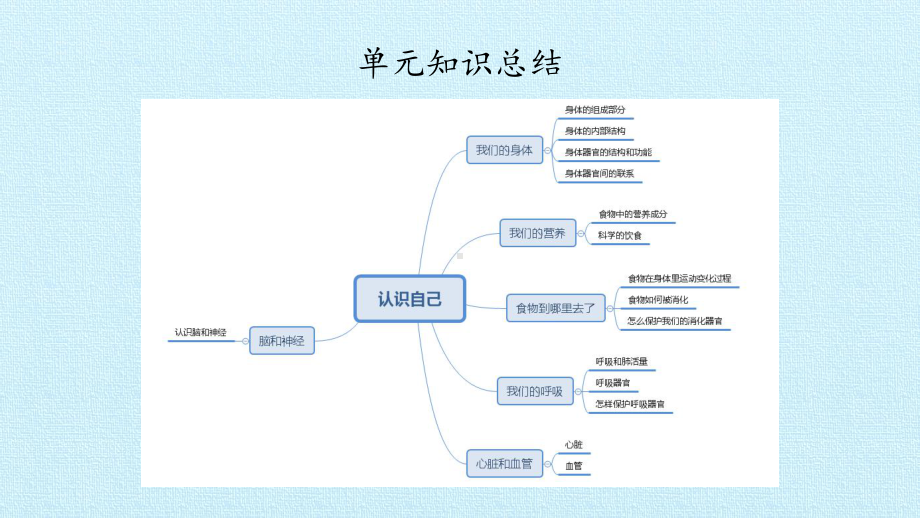 五年级上册科学课 第二单元 认识自己复习课件 青岛版(五年制).pptx_第2页