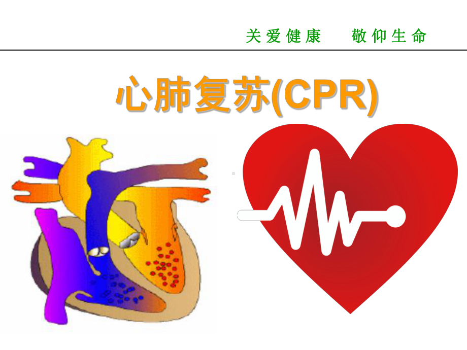 互救和自救方法课件.ppt_第2页