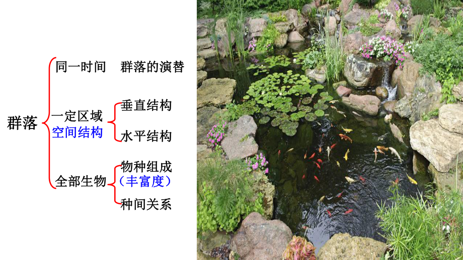 2020年高考生物二轮复习：群落的结构和演替课件.ppt_第3页