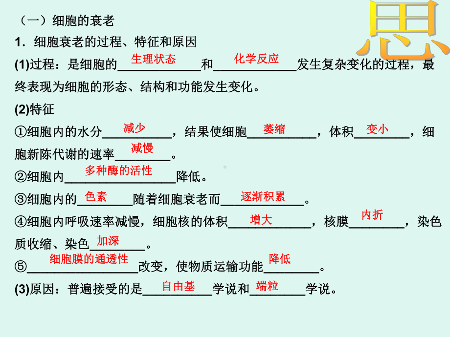 人教版高中生物必修一课件63细胞的衰老和凋亡x.pptx_第3页