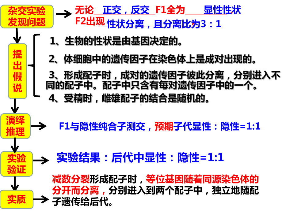 （新教材生物）《孟德尔的豌豆杂交实验(二)》2课件.ppt_第3页