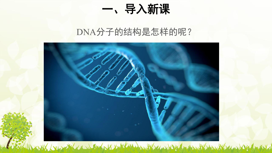 人教版生物必修二DNA的结构课件.pptx_第2页