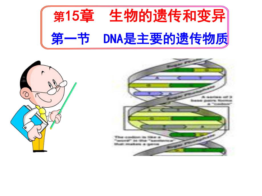 151 DNA是主要的遗传物质课件(苏教版八年级下).ppt_第2页