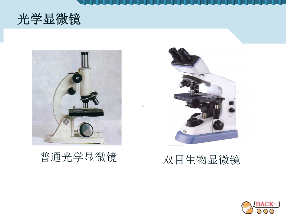 311 练习使用显微镜课件 新人教版七年级上.ppt_第3页