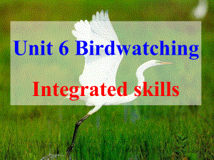 unit 6 Birdwatching Integrated skills课件(牛津版八年级上册).ppt(课件中不含音视频素材)