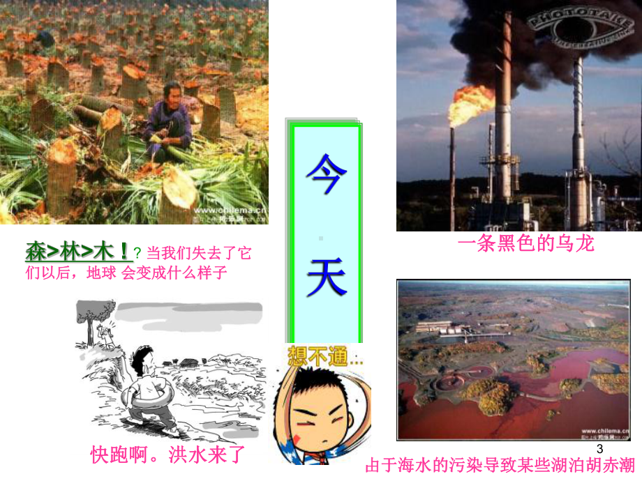 主题班会：节能减排在行动课件.ppt_第3页