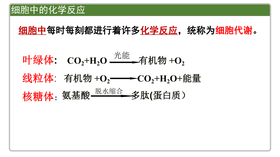 《活化能》人教版课件2.pptx_第3页