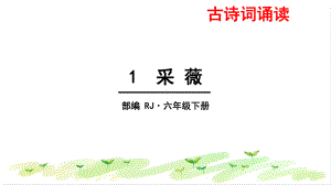 人教部编版《采薇》课件1.pptx