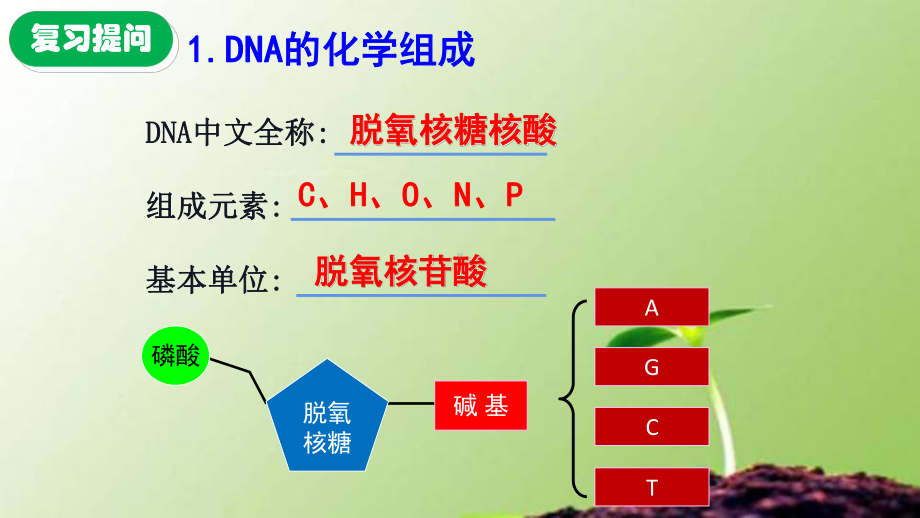 《DNA的结构》新教材1课件.pptx_第3页