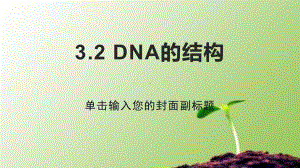 《DNA的结构》新教材1课件.pptx