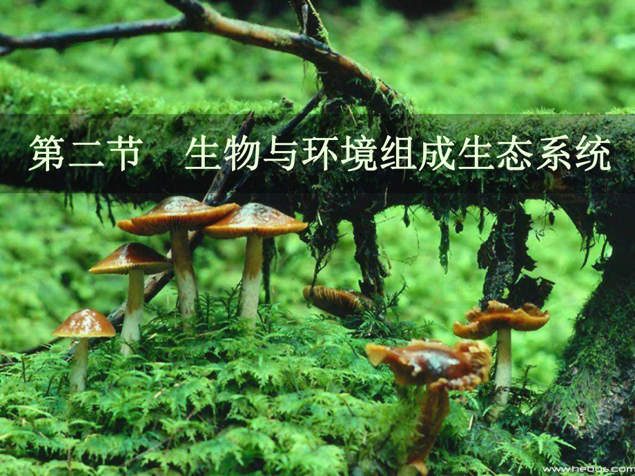 初中生物《生物与环境组成生态系统》教学课件.ppt_第1页