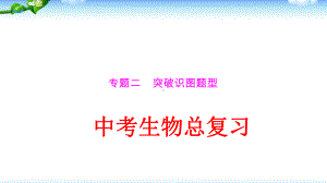 中考生物总复习突破识图题型优质课件.pptx(课件中无音视频)