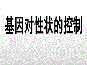 人教版高中生物必修2课件 42 基因表达与性状的关系优秀课件.ppt