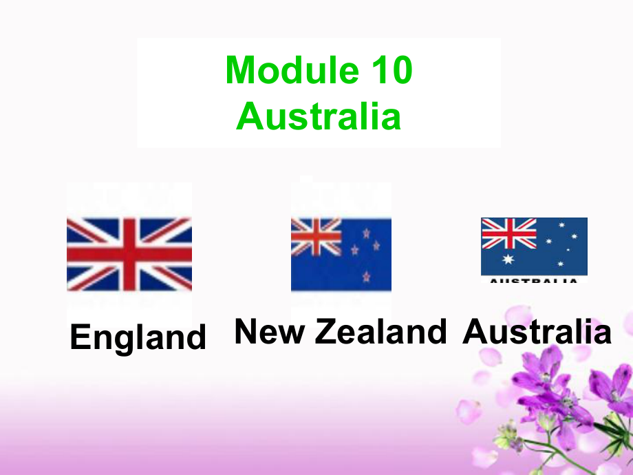 公开课获奖课件外研 M10U2 The game that they like most is Australian.ppt_第3页