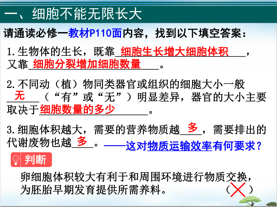 人教版高中生物高三一轮复习41细胞的增殖课件.pptx_第2页