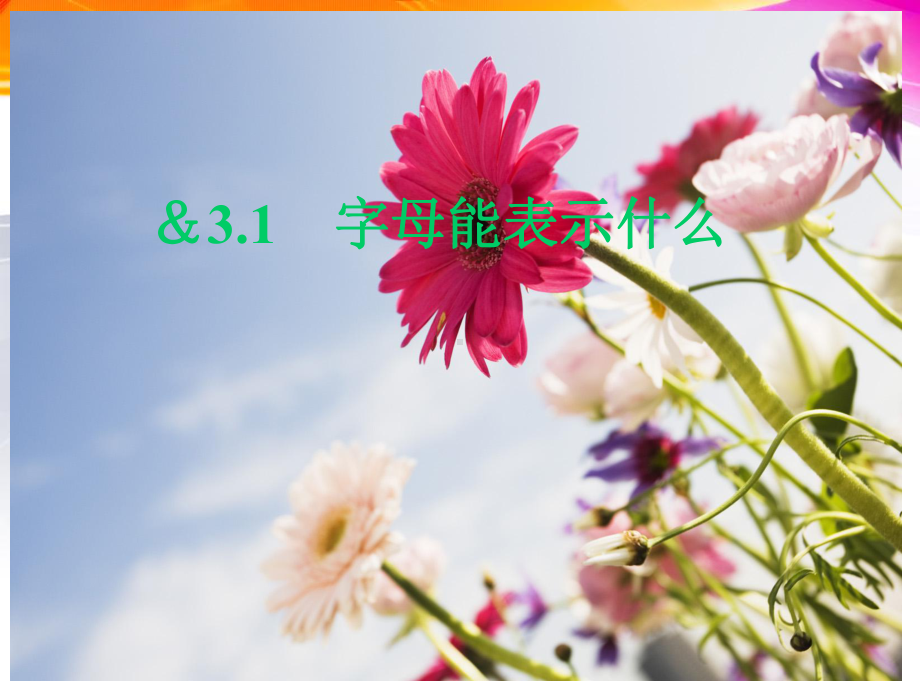 31 字母表示数课件9(北师大版七年级上).ppt_第1页