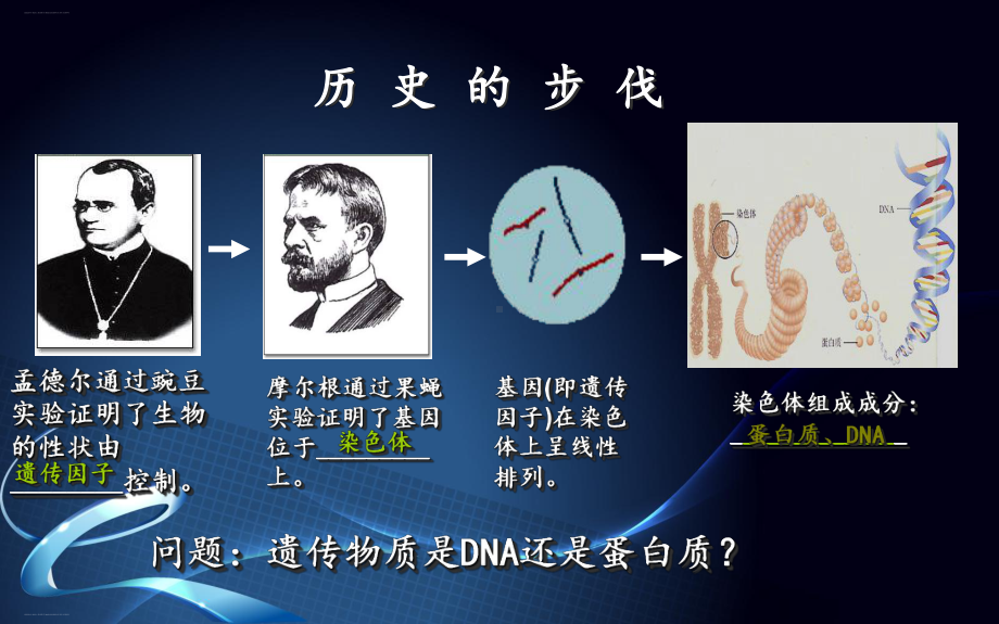 人教版《DNA是主要的遗传物质》课件1.ppt_第2页