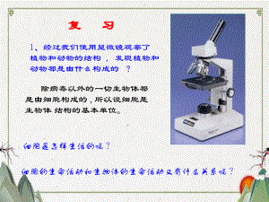 七年级生物上册 232《细胞是生命活动的单位》课件1 新版北师大版.ppt