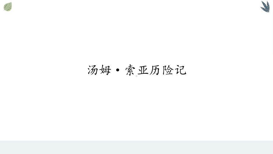 2020统编语文六年级下册：《7 汤姆索亚历险记》 公开课课件.pptx_第2页