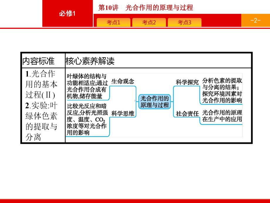 （生物新高考总复习）第10讲 光合作用的原理与过程课件.pptx_第2页
