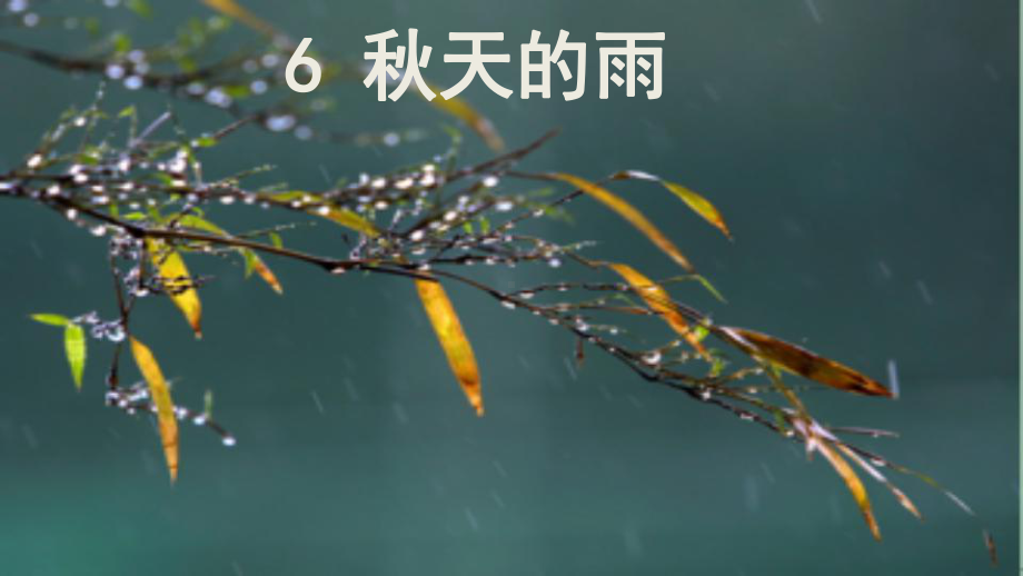 三年级上册《秋天的雨》教学课件部编版.pptx_第1页