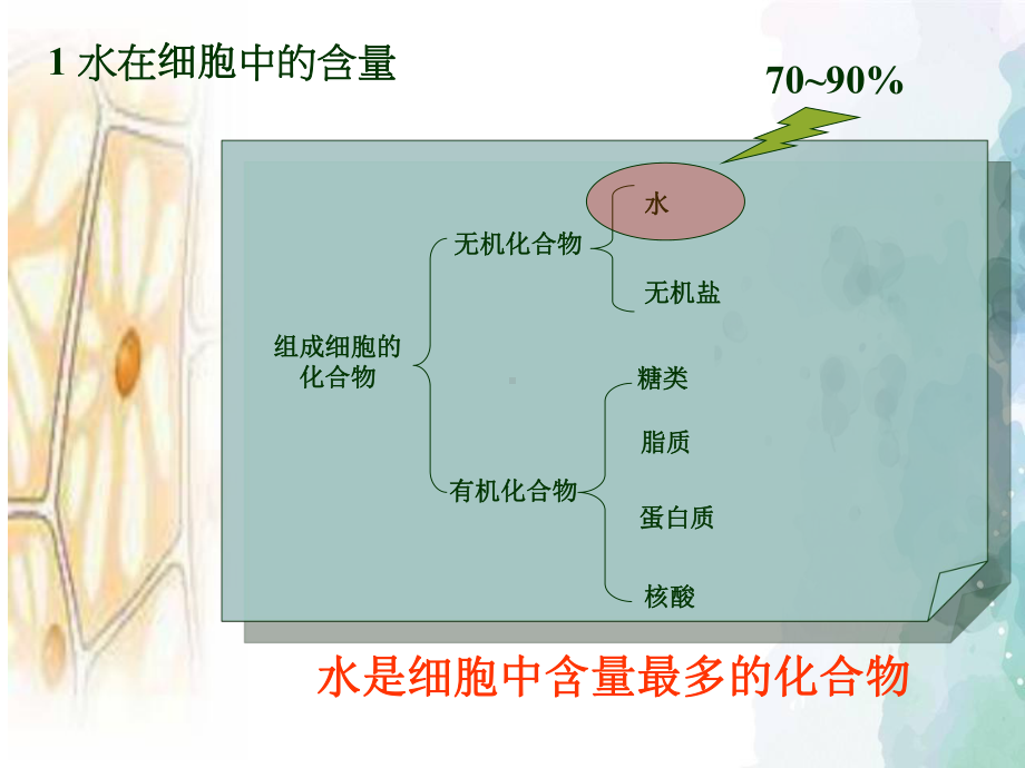 《细胞中的无机物》课件新教材1.ppt_第2页