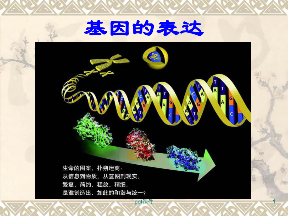 DNA的转录和翻译 课件.ppt_第1页