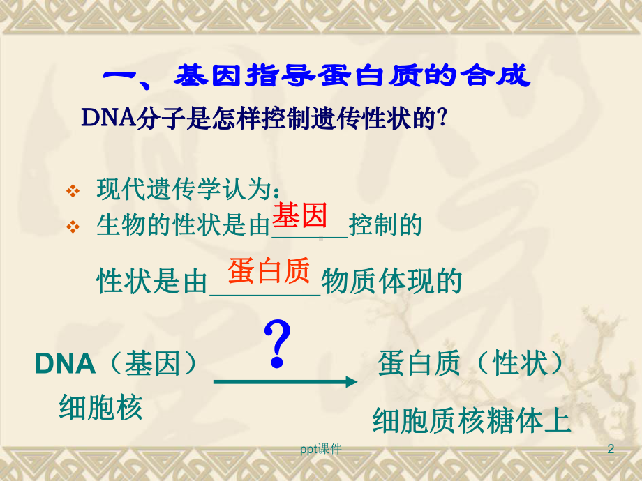 DNA的转录和翻译 课件.ppt_第2页