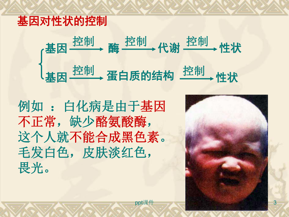 DNA的转录和翻译 课件.ppt_第3页