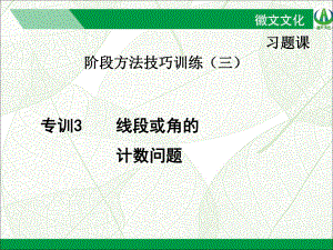 专训3 线段或角的计数问题 公开课一等奖课件.ppt