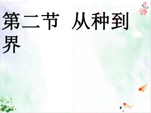 《从种到界》导学课件.ppt