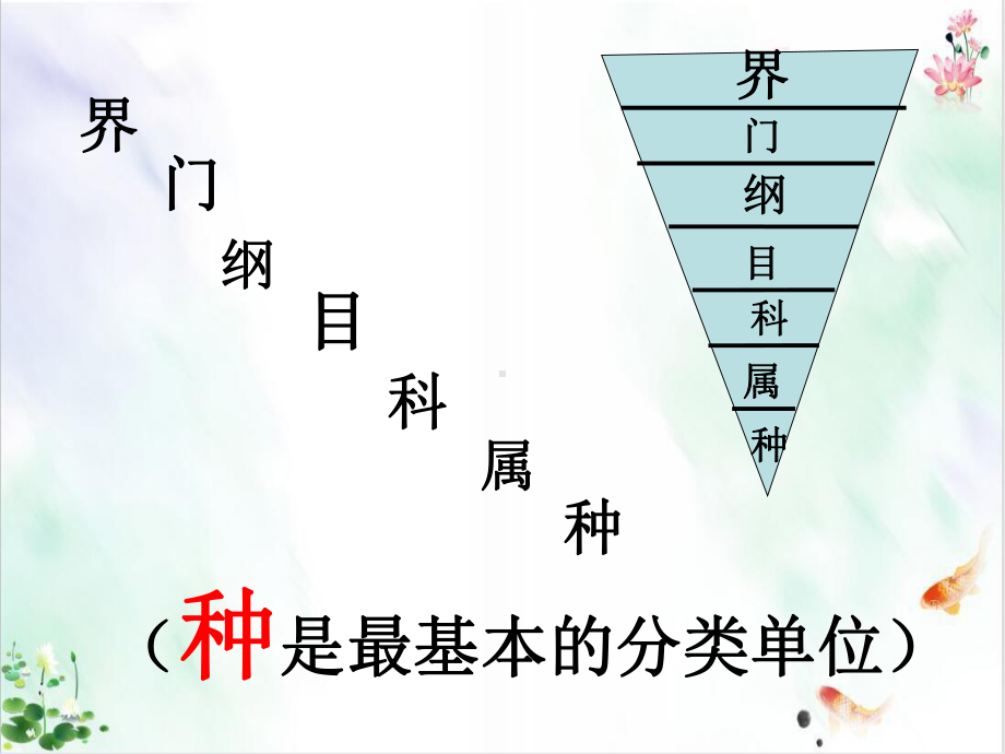 《从种到界》导学课件.ppt_第3页