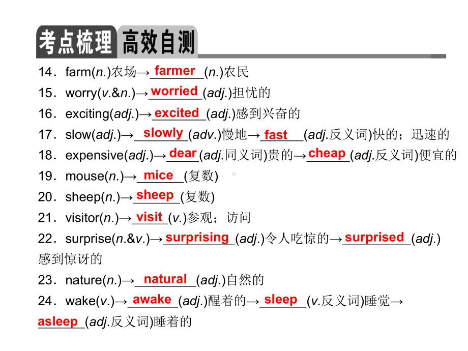 ts 7 12 (考点梳理 高效自测 常见考点 讲透练活)第4讲 (甘肃)课件(新人教版七年级下).ppt_第3页