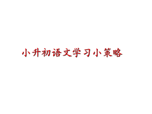 六年级下册语文课件 语文小升初复习小策略 全国通用.ppt