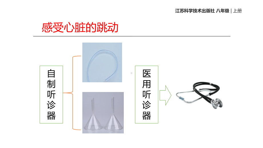 人体内物质的运输 第二课时课件 初中生物课件 八年级生物课件.ppt_第2页