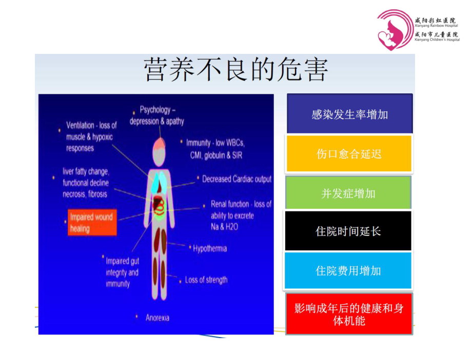 儿童营养评估及干预措施课件.ppt_第3页