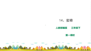 《蜜蜂》完美课件-第一课时.ppt