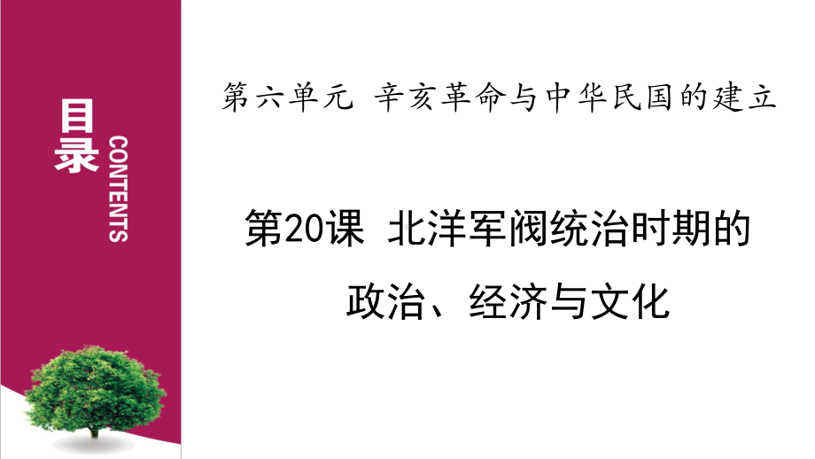 历史必修上：第20课课件(一)《北洋军阀统治时期的政治、经济、文化》.pptx_第1页