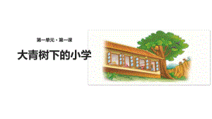 《大青树下的小学》优秀课件.pptx