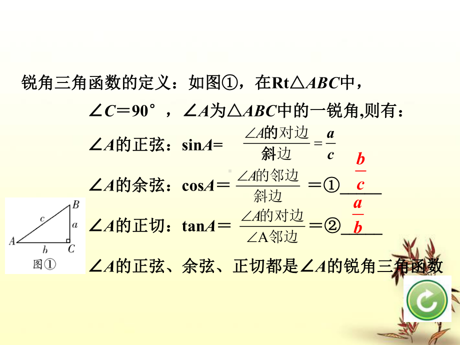 中考数学考点复习课件习题第五节锐角三角函数及其应用.ppt_第3页