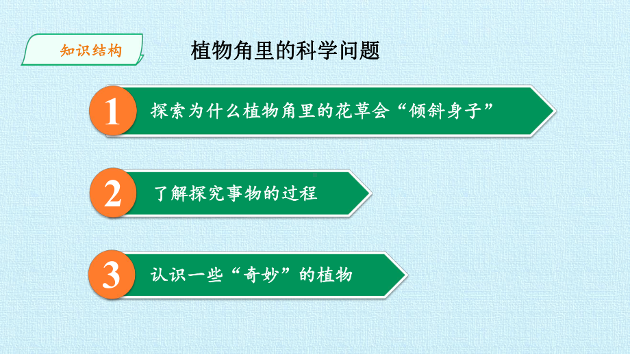 六年级上册科学复习课件 第一单元植物角里的科学问题大象版.pptx_第2页