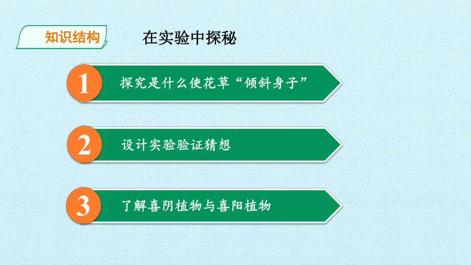 六年级上册科学复习课件 第一单元植物角里的科学问题大象版.pptx_第3页