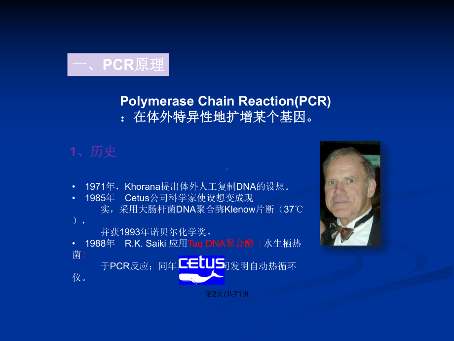 PCR技术教程学习教案课件.pptx_第3页