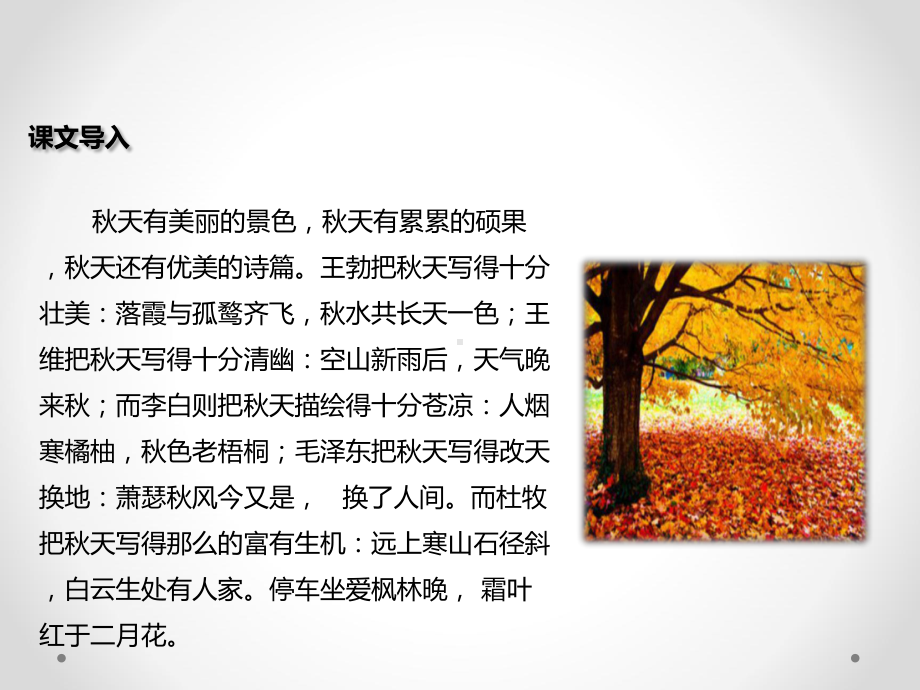 《山行》教学课件.pptx_第2页