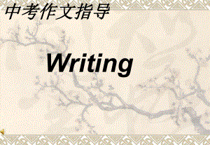 中考英语作文复习指导(Writing)课件.ppt