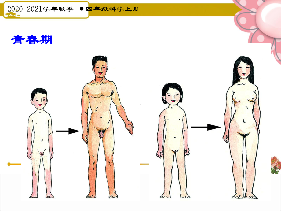 32人体的激素调节八年级上浙教版新教材课件.ppt_第1页